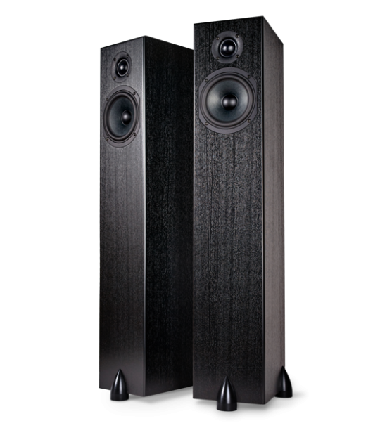 Floor speaker system Totem Acoustic Sky Tower