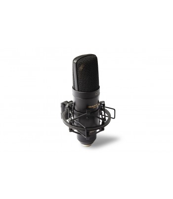 Mikrofons Marantz MPM-2000U