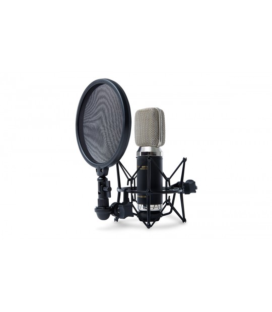 Mikrofons Marantz 3500R